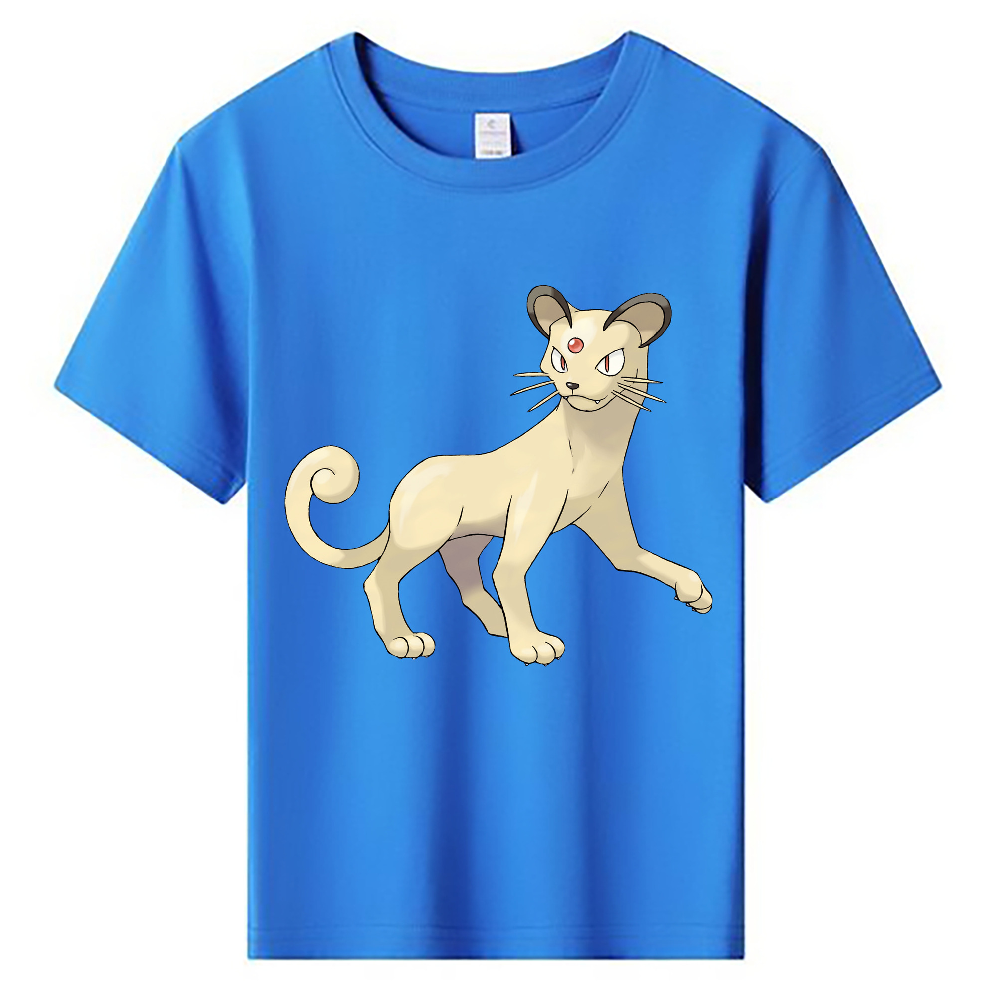 （画像用） ポケットモンスター Pokémon 綿100％キッズTシャツ（フロントプリント）